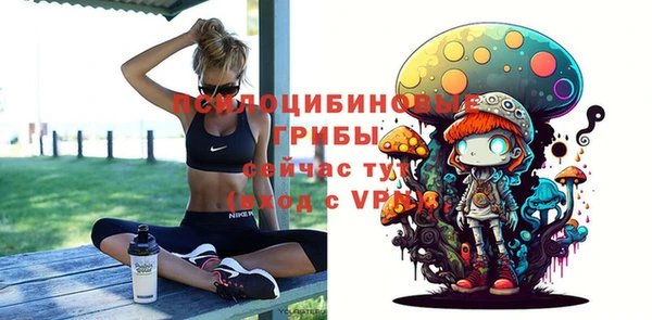 бошки Аша