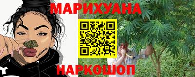 прущие грибы Волгодонск