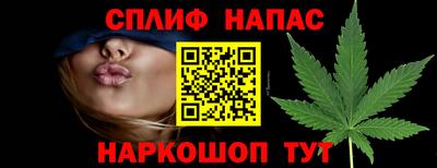 МДПВ Волжск