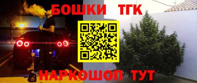 прущие грибы Волгодонск