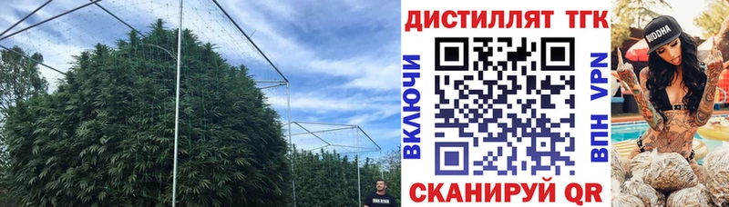 Дистиллят ТГК жижа даркнет состав Елабуга