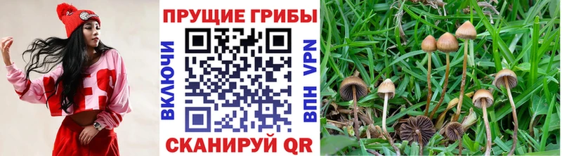 что такое   Елабуга  Псилоцибиновые грибы мухоморы 