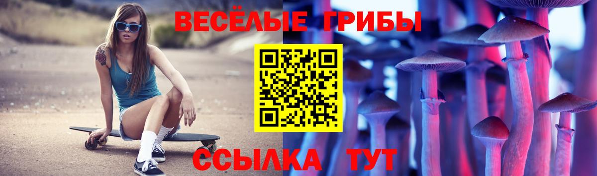 Псилоцибиновые грибы Psilocybe  Вход с VPN  Елабуга 