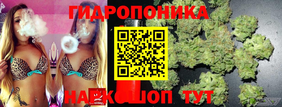 Елабуга  Канабис индика  Шишки марихуана AK-47  Вход с VPN  МАРИХУАНА гибрид 